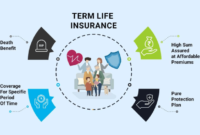 Insurance premium return term life