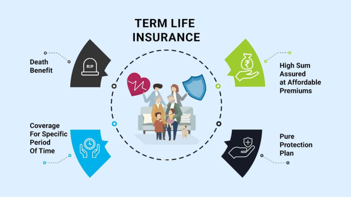 Insurance premium return term life