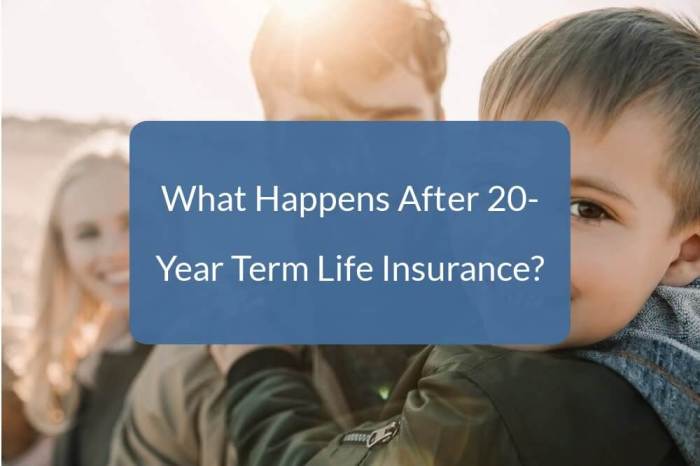 Insurance life term 20 year policy