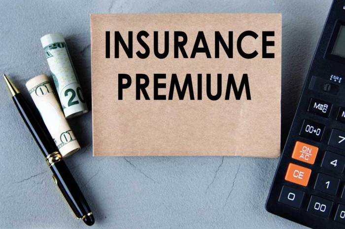 Insurance premium premiums risk denominator lowest common importance good finance higher lesser pay coverage getting while decision making paying insured