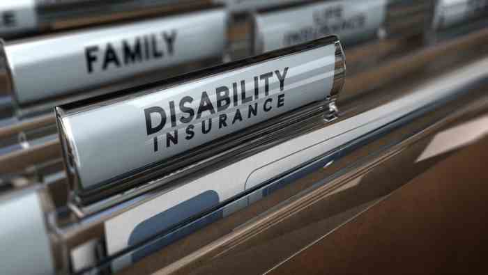 Disability insurance term long