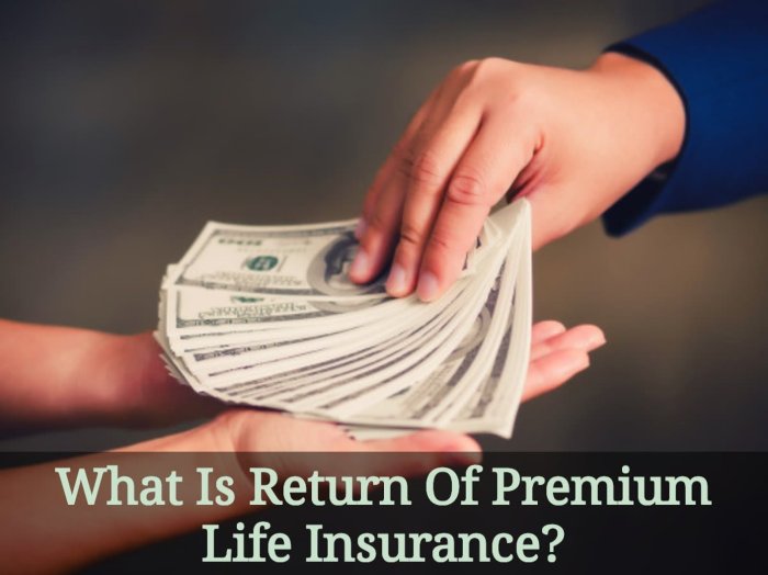 Insurance premium life return rider