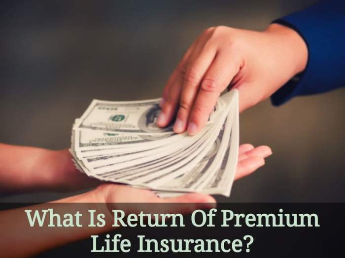 Insurance theinsuranceproblog