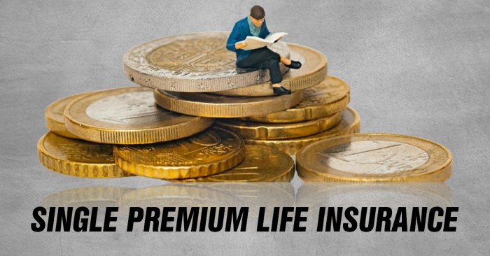 Insurance health plans options plan life coverage medical many care doors single choices hollard employer hmo enrollment stock aca period