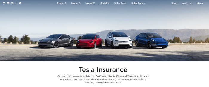 Insurance tesla normal money