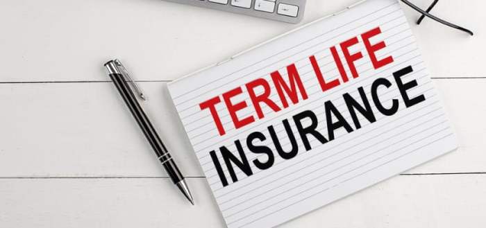 Insurance life term guaranteed premiums year age level rates figures above quotes they not