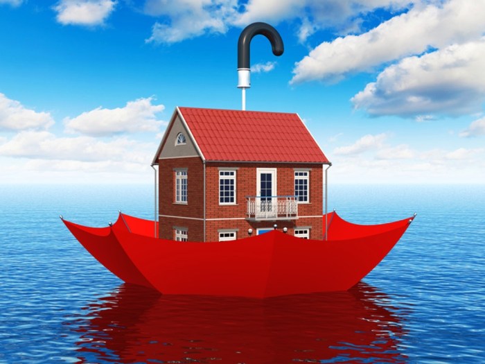 Flood insurance appraisal robinson llc group print email