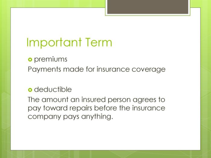 An insured pays premiums on an annual basis