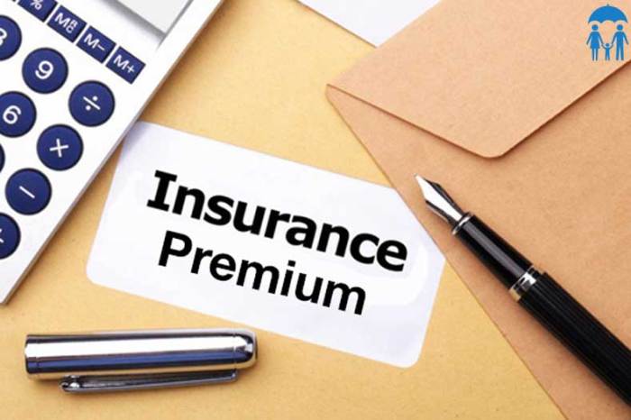 Insurance premium payment premiums cost api admin life determining services fixed cons pros january managing