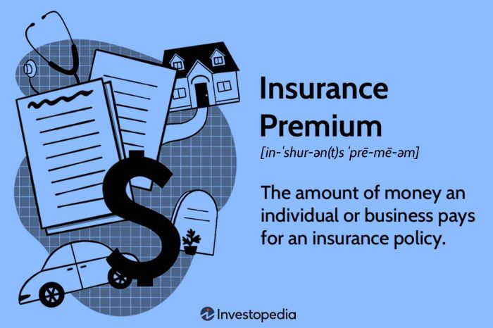 Insurance premium definition