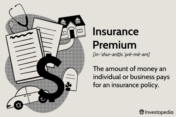 Insurance premium definition