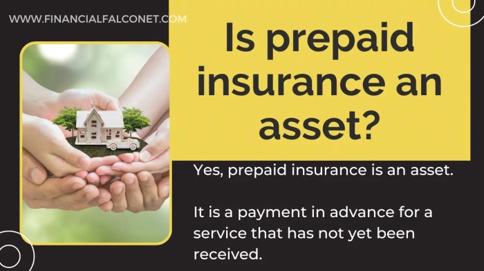 Prepaid expense insurance valid deskera