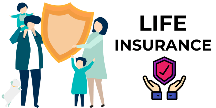 Insurance premium life