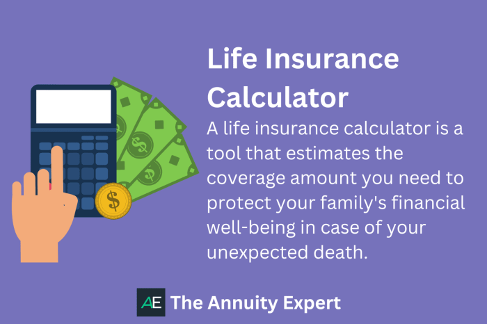 Premium single insurance life happened