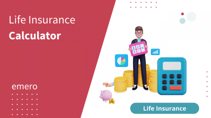 Life insurance premium estimator