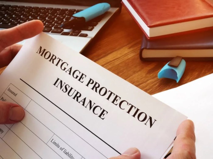 Mortgage insurance premiums