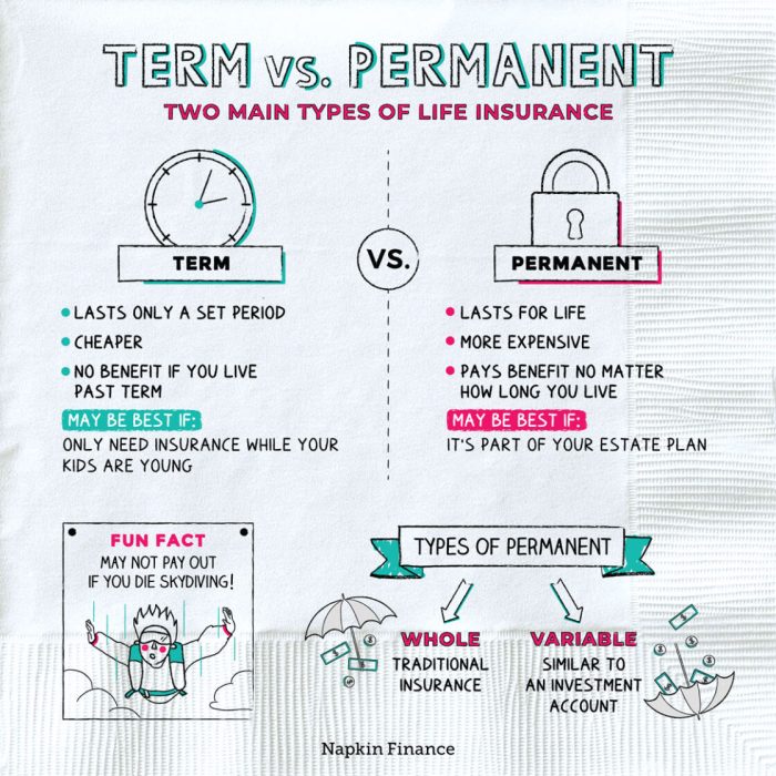 Insurance life expensive permanent term vs why cost policy cash consider wiser offset accumulation choice feature run makes long can