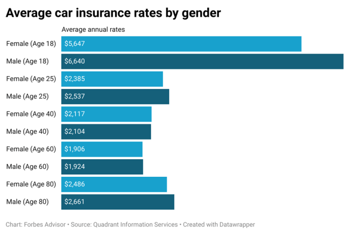 Insurance auto calculated premiums