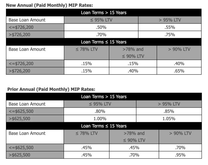 Insurance mortgage premium loan mip total private borrower loans initial conventional payment amount less than down if