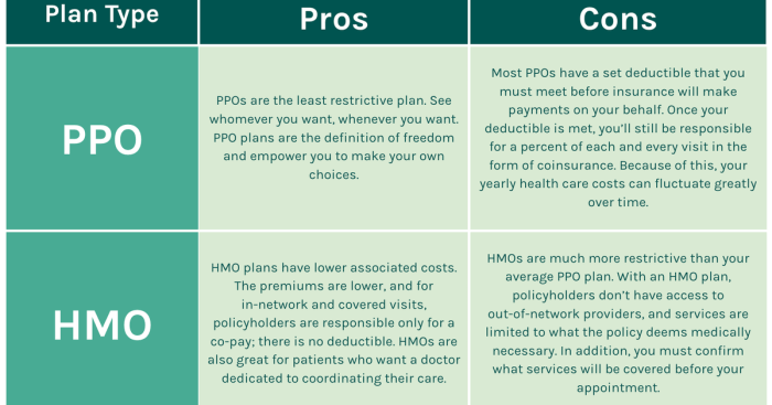 Network hmo ppo difference epo provider providers pcp medicare