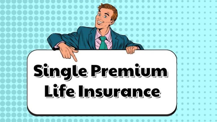 Insurance premium life single whole reasons consider right top