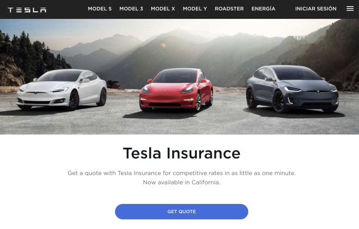 Tesla insure