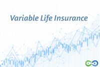 Life insurance adjustable premium flexible flexibility allows types most whole date 2021 premiums investment regards monthly both january