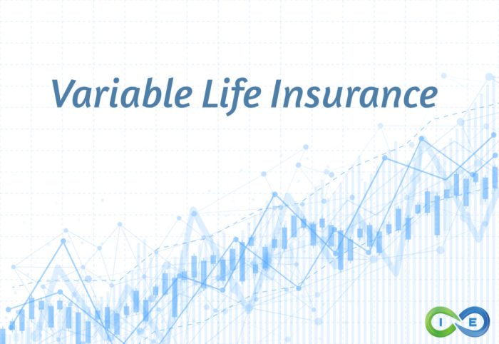 Life insurance adjustable premium flexible flexibility allows types most whole date 2021 premiums investment regards monthly both january