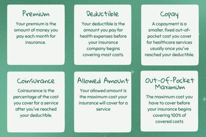 Insurance premium definition