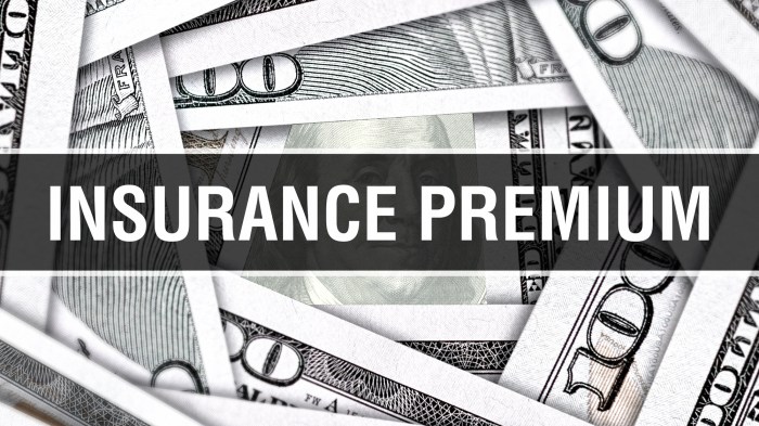 Insurance premium definition