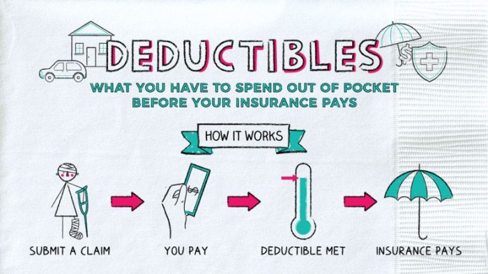 Deductible coinsurance copay deductibles difference medicare canonprintermx410 bcbstx bcbsil decoding components