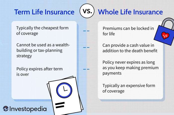 Life insurance term premiums