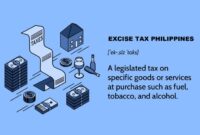 Excise taxes tax federal proper role sin