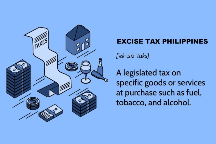 Excise taxes tax federal proper role sin