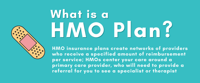 Hmo ppo vs insurance health plan medical fill