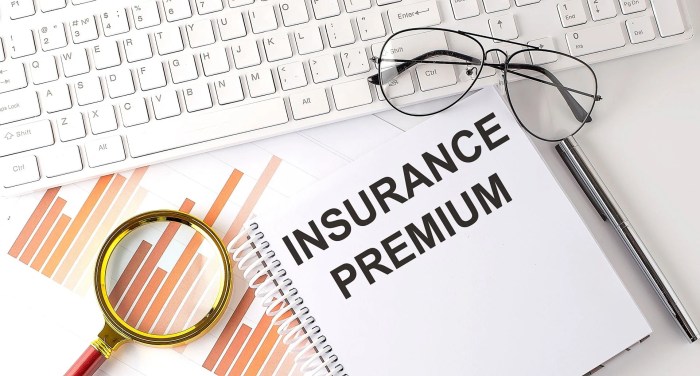 Insurance premium definition