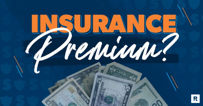 Insurance premium premiums risk denominator lowest common importance good paying finance lesser pay coverage higher getting while decision making insured