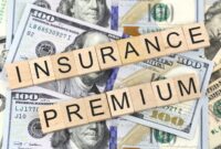 Insurance premium premiums risk denominator lowest common importance good finance higher lesser pay coverage getting while decision making paying insured