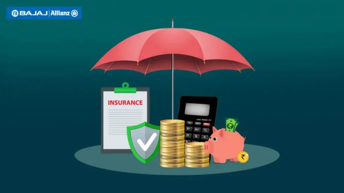 Insurance premium nerdwallet danise aug