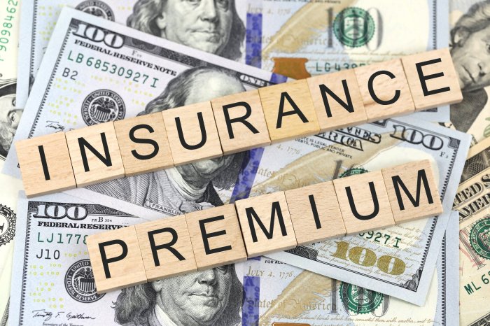 Insurance premium premiums risk denominator lowest common importance good finance higher lesser pay coverage getting while decision making paying insured