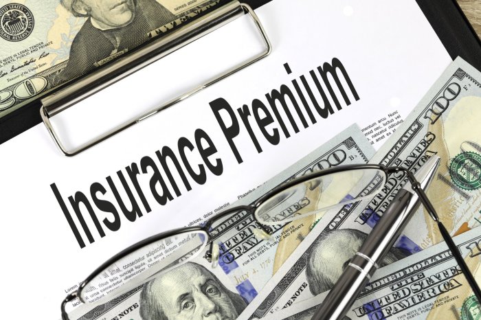 Insurance premium definition