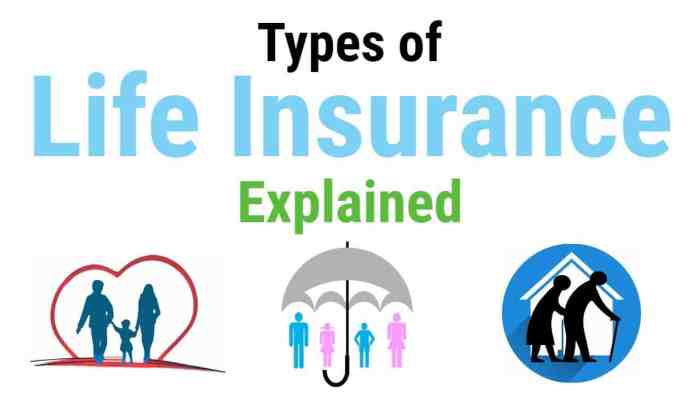 Insurance life types stock eight term