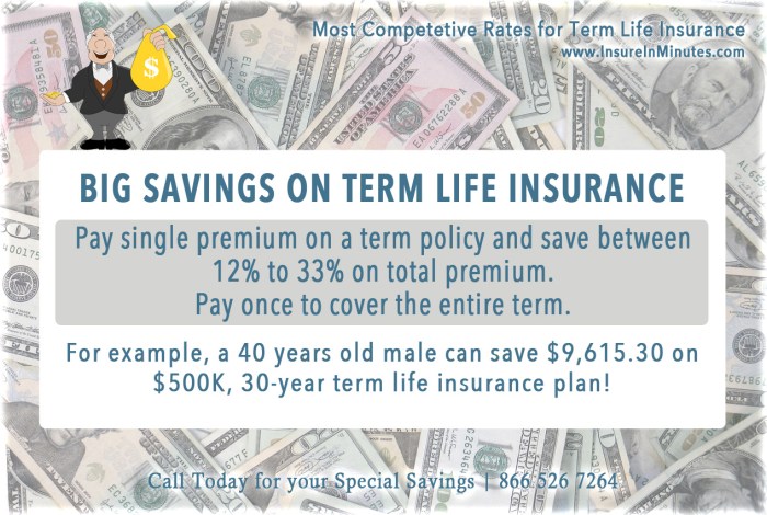 Term life insurance premium single