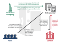 Insurance financing financed