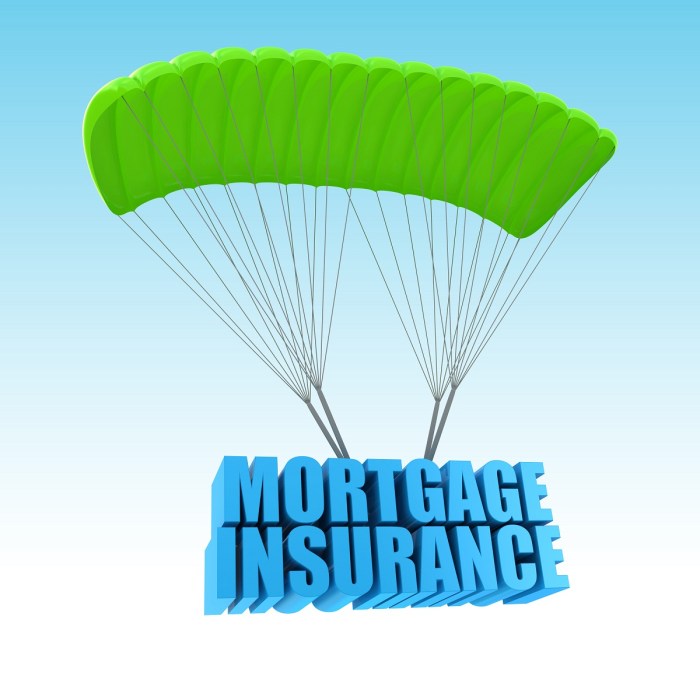 Insurance mortgage premium loan mip total private borrower loans initial conventional payment amount less than down if