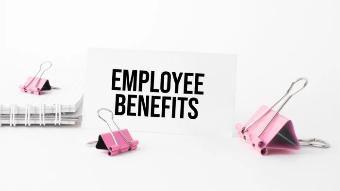 Disability investment employees employers incentive