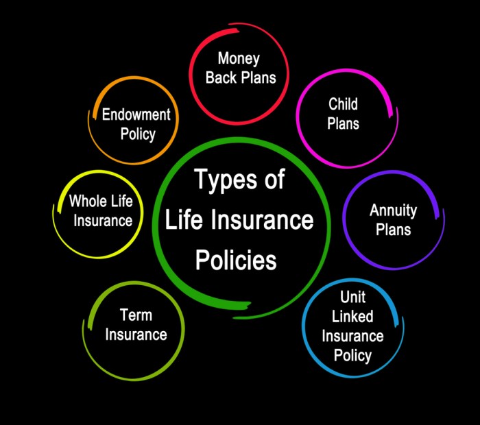 Insurance lic types individual