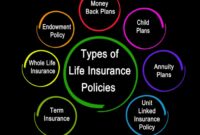 Policies plans insurances endowment inurance classified broadly retirement