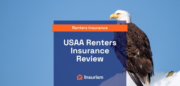 Usaa insurance review auto company great