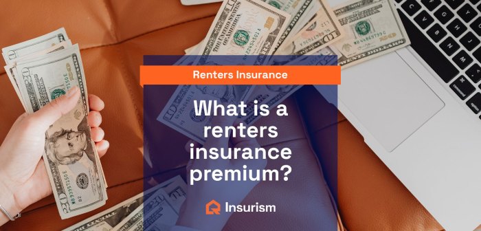 Insurance renters aaa apply